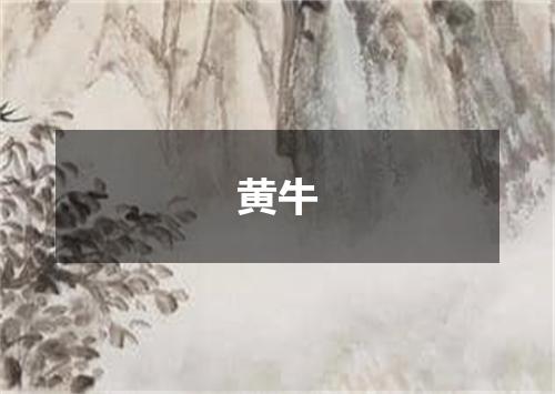 黄牛
