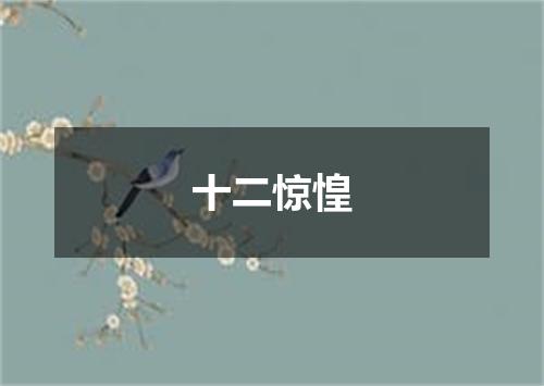 十二惊惶