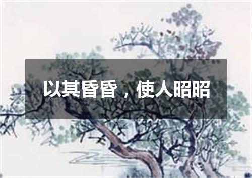 以其昏昏，使人昭昭