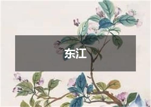 东江