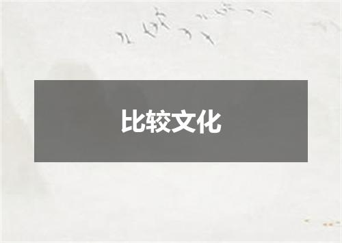 比较文化