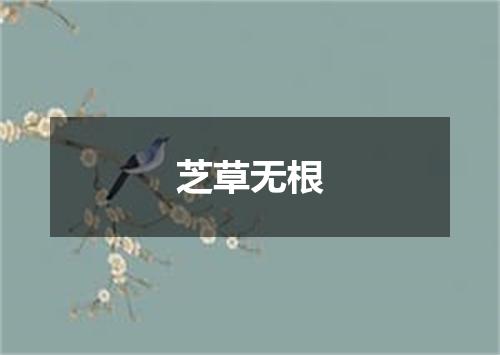芝草无根