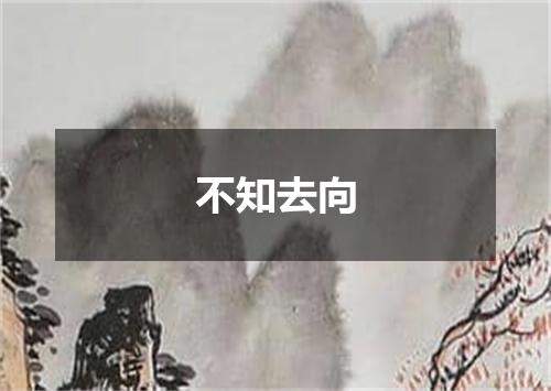 不知去向
