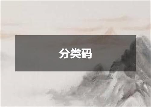 分类码