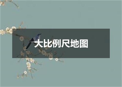 大比例尺地图