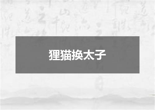 狸猫换太子