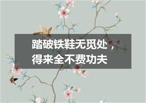 踏破铁鞋无觅处，得来全不费功夫