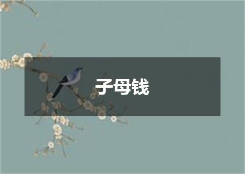 子母钱
