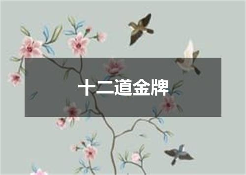 十二道金牌
