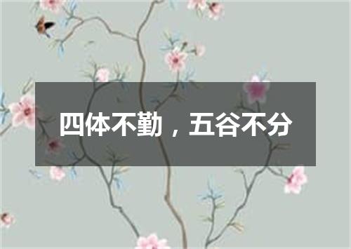 四体不勤，五谷不分