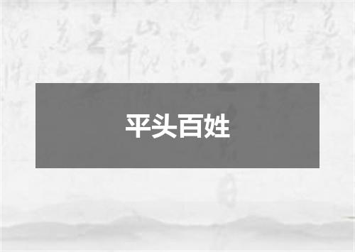 平头百姓