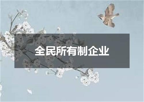 全民所有制企业