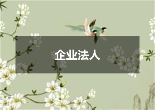企业法人