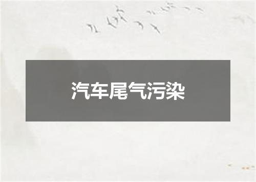 汽车尾气污染
