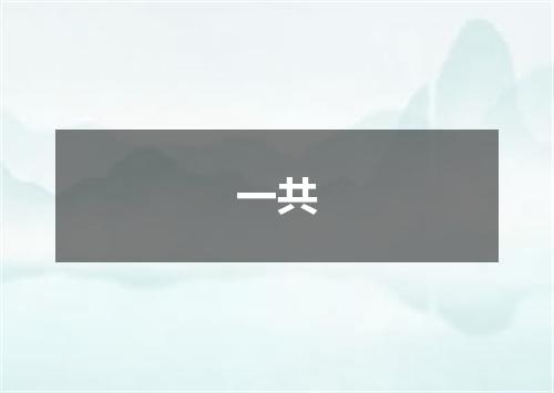 一共