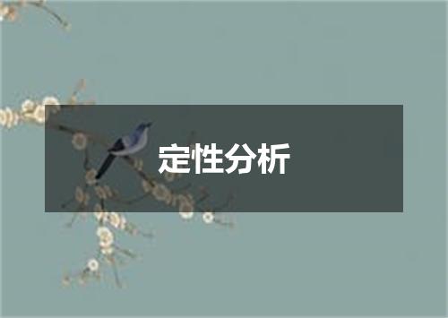 定性分析
