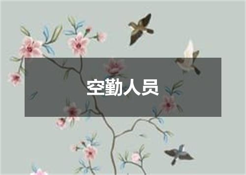 空勤人员