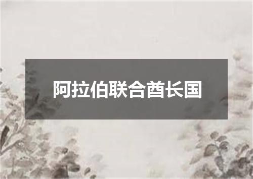 阿拉伯联合酋长国