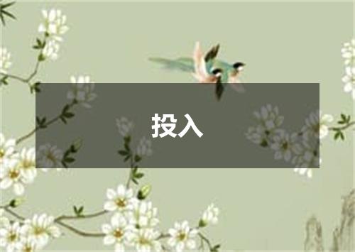 投入