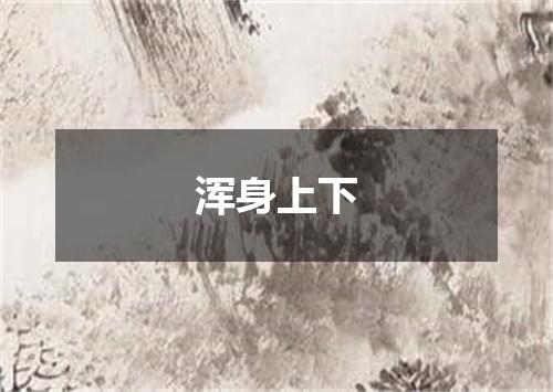 浑身上下