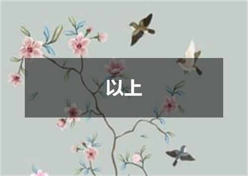 以上