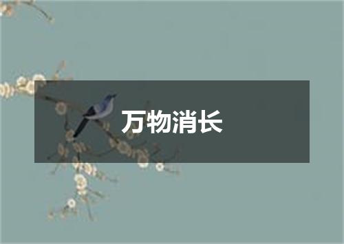 万物消长