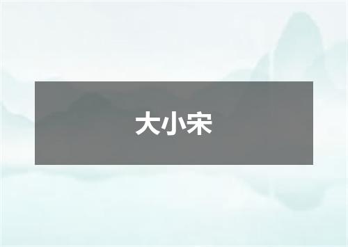 大小宋