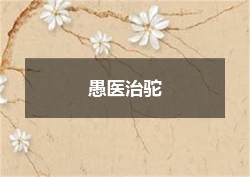 愚医治驼