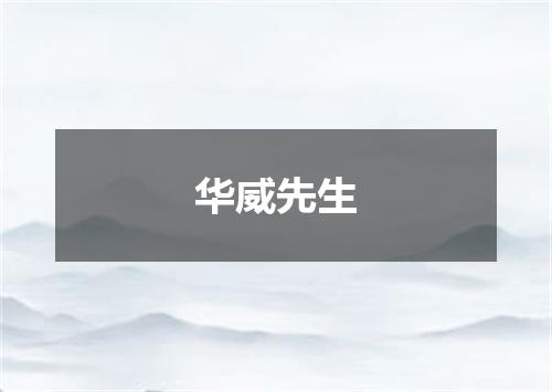 华威先生