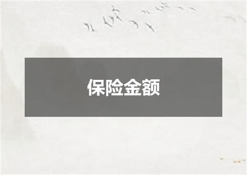 保险金额