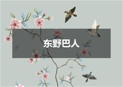 东野巴人