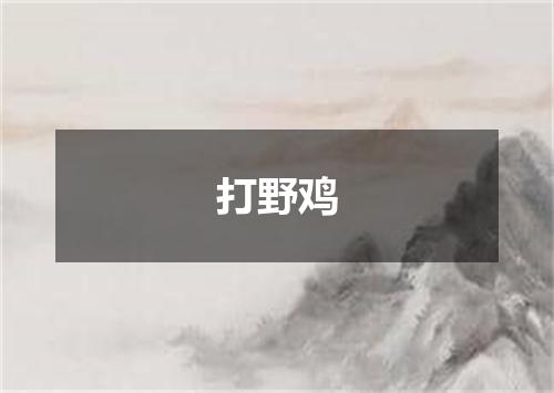 打野鸡
