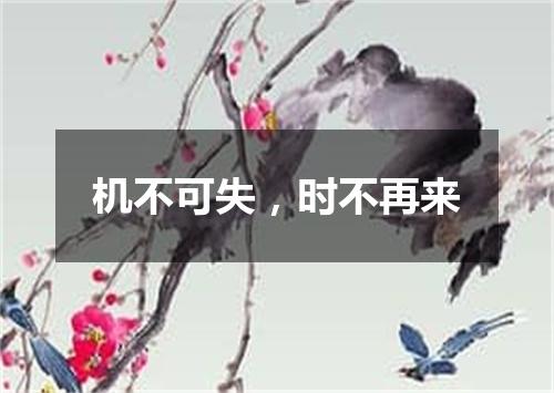 机不可失，时不再来