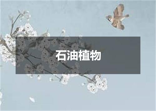 石油植物