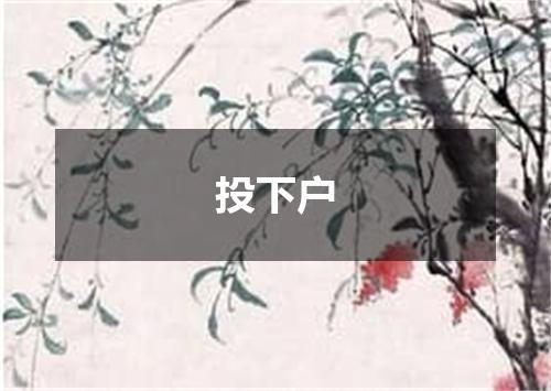 投下户