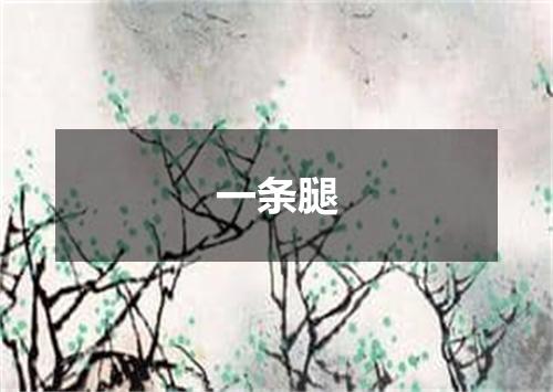 一条腿