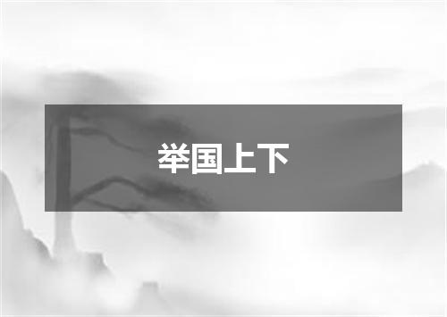 举国上下