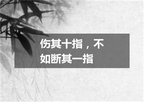 伤其十指，不如断其一指