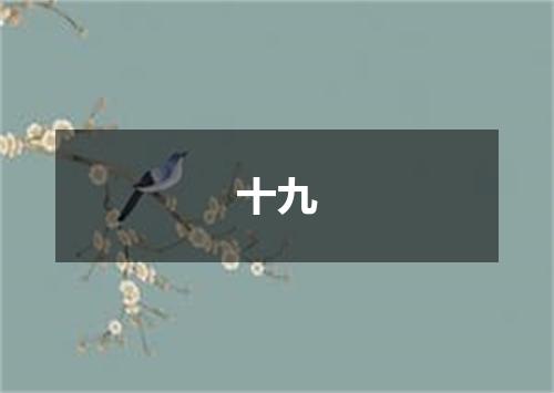 十九
