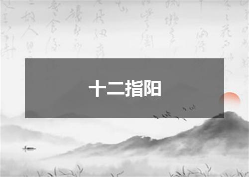 十二指阳