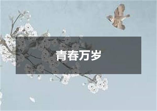 青春万岁