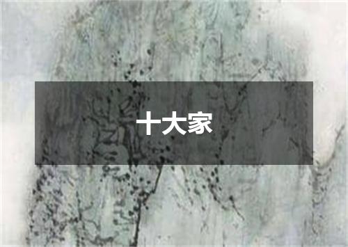 十大家