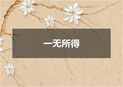 一无所得