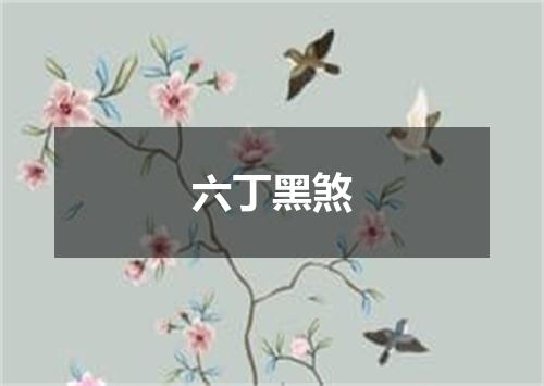 六丁黑煞