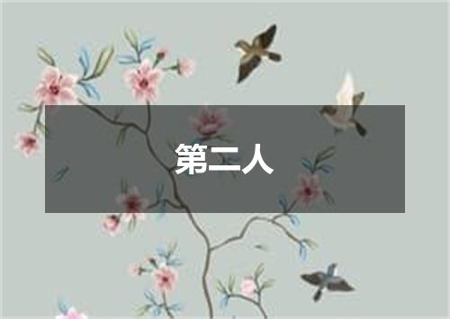 第二人