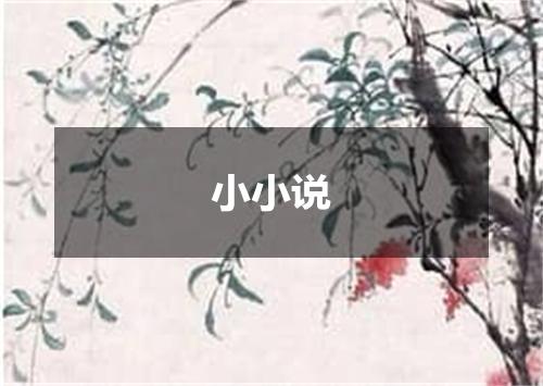 小小说