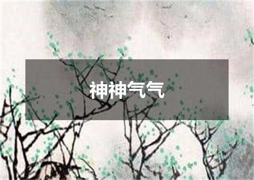 神神气气