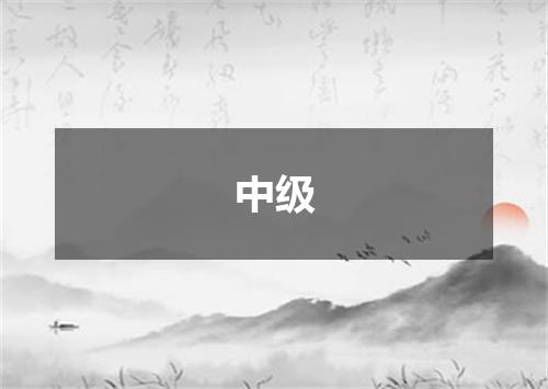 中级