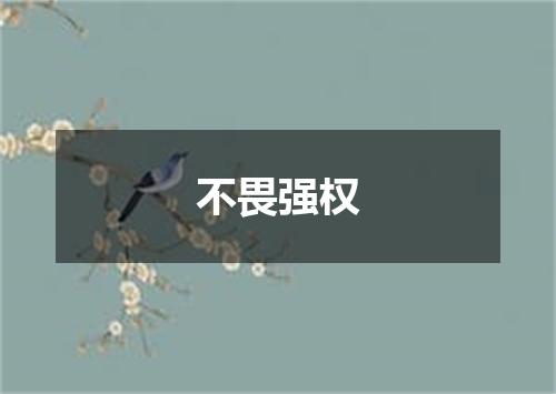 不畏强权