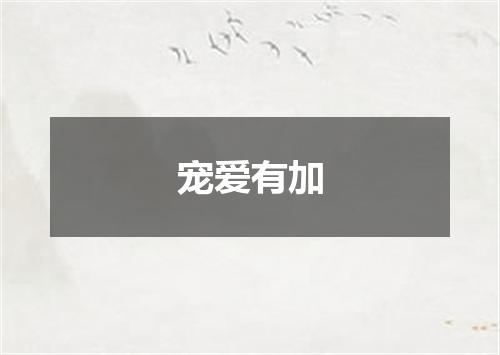 宠爱有加
